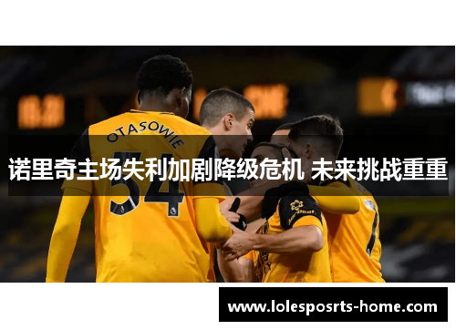 诺里奇主场失利加剧降级危机 未来挑战重重