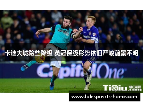 卡迪夫城险些降级 英冠保级形势依旧严峻前景不明