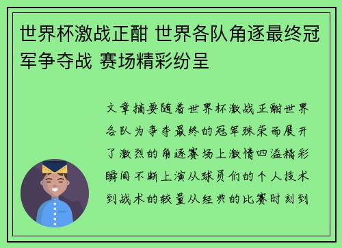 世界杯激战正酣 世界各队角逐最终冠军争夺战 赛场精彩纷呈