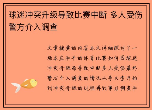 球迷冲突升级导致比赛中断 多人受伤警方介入调查