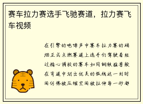 赛车拉力赛选手飞驰赛道，拉力赛飞车视频